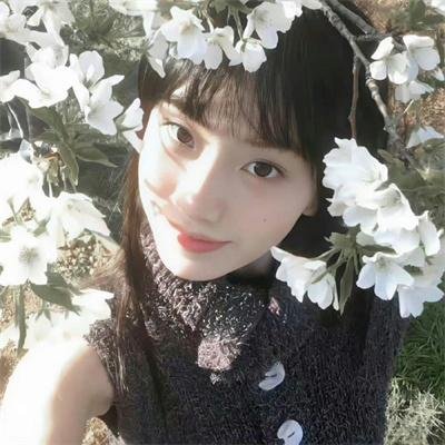 探清水河：重生
